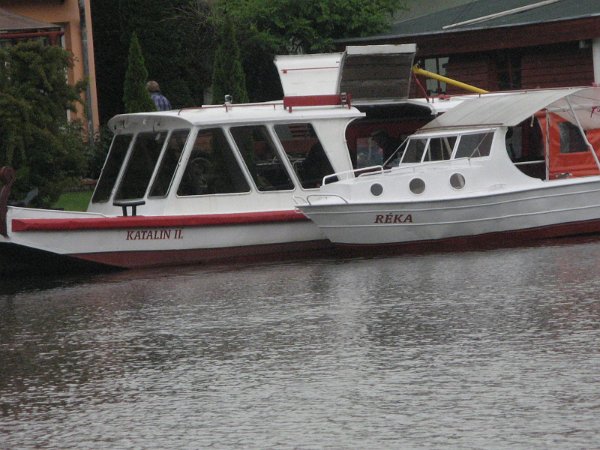 Szarvas 033